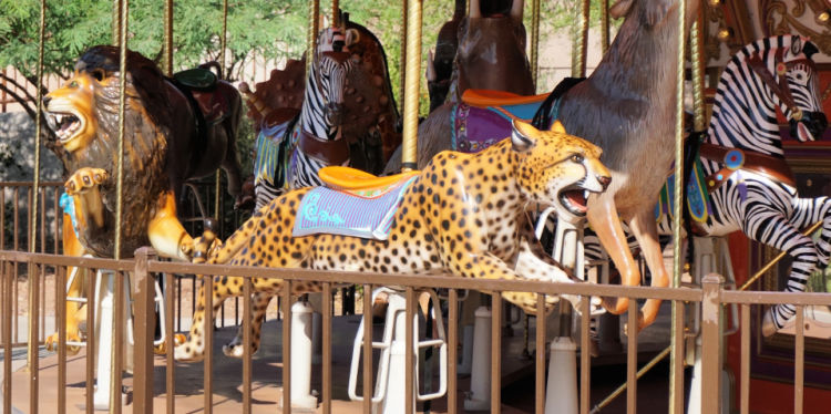 The magical Endangered Species Carousel is a perfect photo as it is so colorful and beautiful